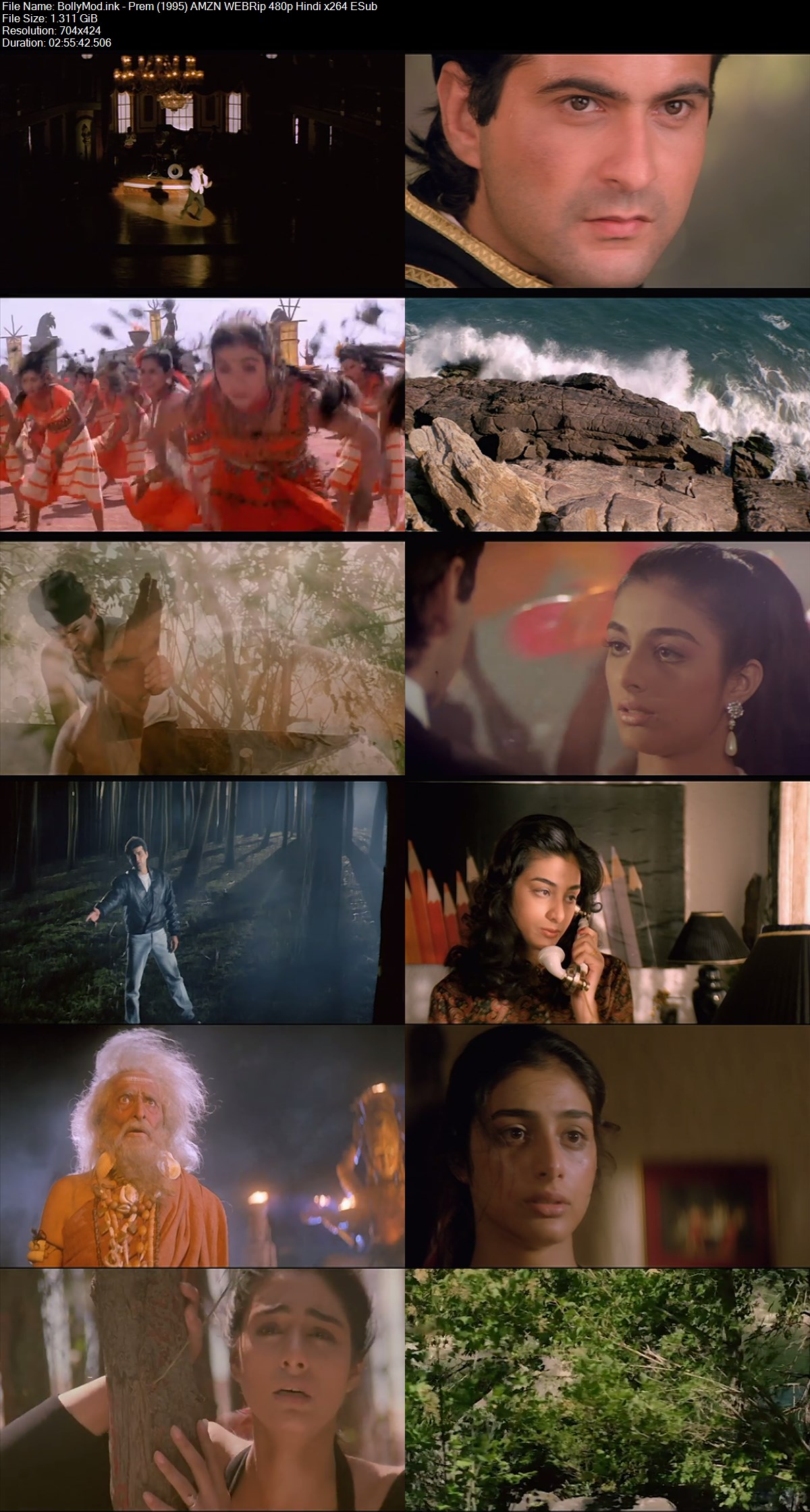 BollyMod.Net - Prem (1995) AMZN WEBRip 480p Hindi x264 ESub.mkv
